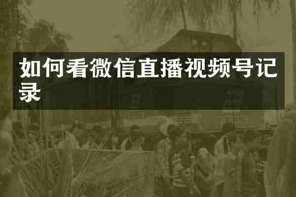 如何看微信直播视频号记录