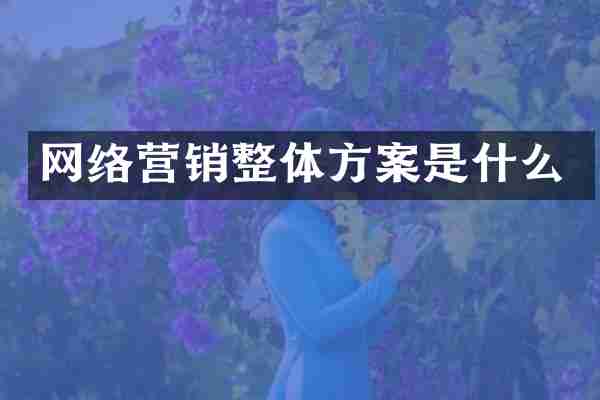 网络营销整体方案是什么