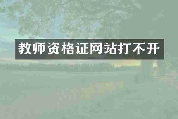 教师资格证网站打不开