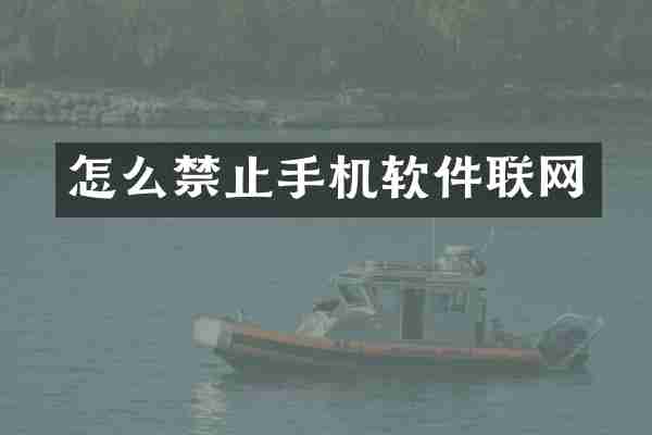 怎么禁止手机软件联网