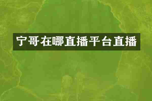 宁哥在哪直播平台直播