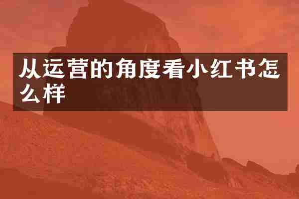 从运营的角度看小红书怎么样
