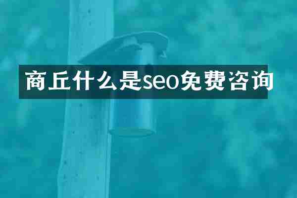 商丘什么是seo免费咨询