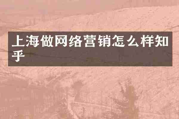 上海做网络营销怎么样知乎