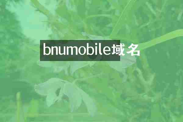 bnumobile域名