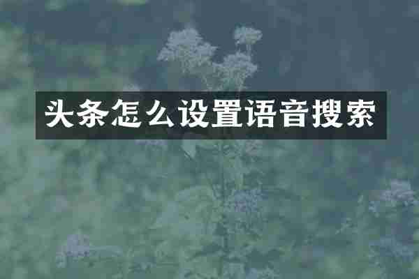 头条怎么设置语音搜索