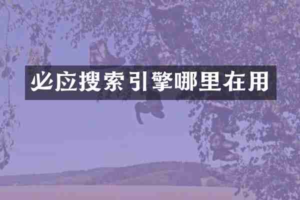 必应搜索引擎哪里在用
