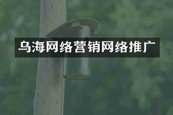 乌海网络营销网络推广