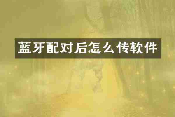 蓝牙配对后怎么传软件