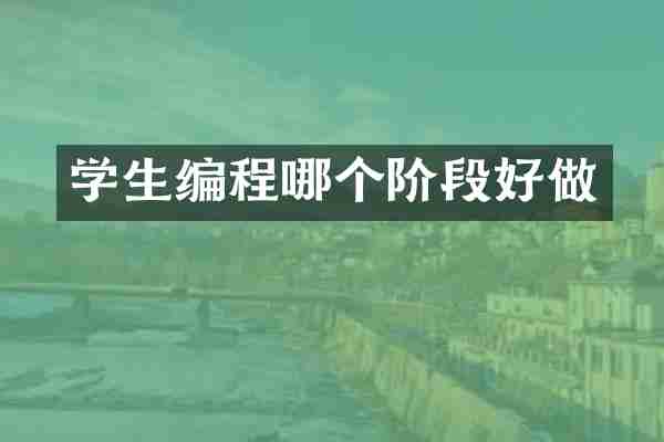学生编程哪个阶段好做