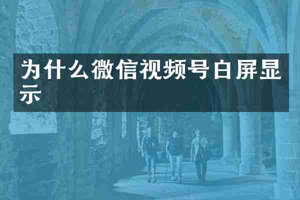 为什么微信视频号白屏显示