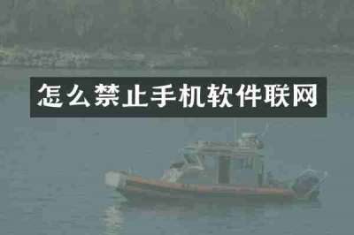 怎么禁止手机软件联网