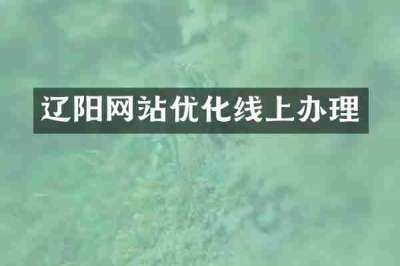 辽阳网站优化线上办理