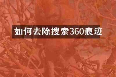 如何去除搜索360痕迹