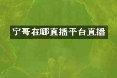 宁哥在哪直播平台直播