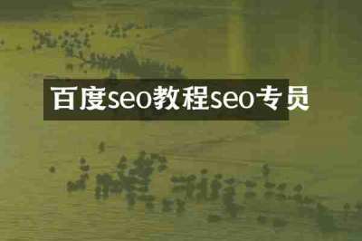 百度seo教程seo专员