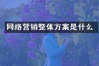 网络营销整体方案是什么