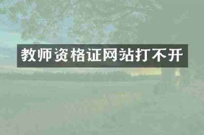 教师资格证网站打不开