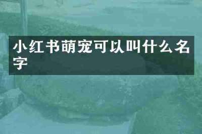 小红书萌宠可以叫什么名字
