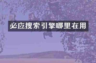 必应搜索引擎哪里在用