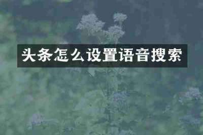 头条怎么设置语音搜索