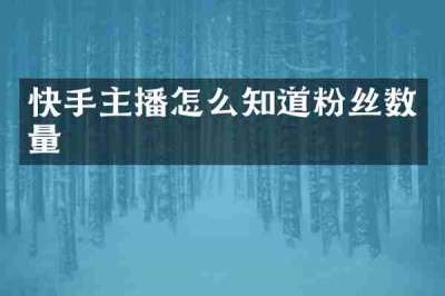 快手主播怎么知道粉丝数量