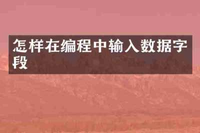 怎样在编程中输入数据字段