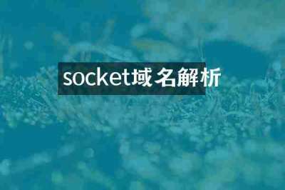 socket域名解析