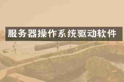 服务器操作系统驱动软件