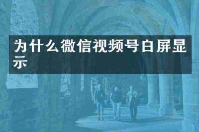 为什么微信视频号白屏显示