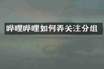 哔哩哔哩如何弄关注分组