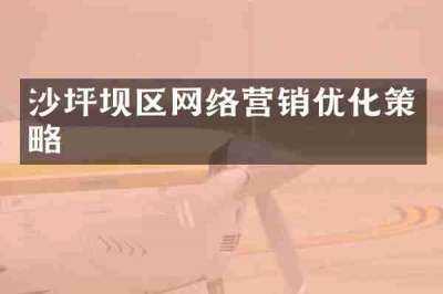 沙坪坝区网络营销优化策略