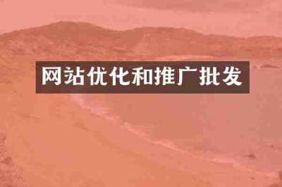 网站优化和推广批发