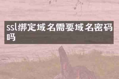 ssl绑定域名需要域名密码吗