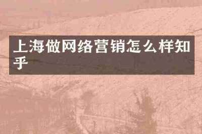上海做网络营销怎么样知乎
