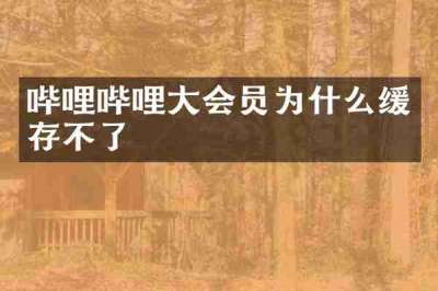 哔哩哔哩大会员为什么缓存不了