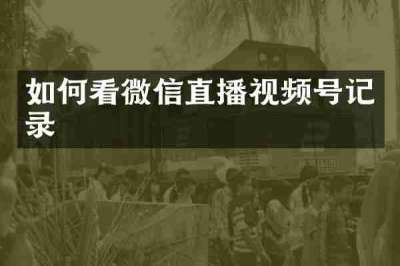 如何看微信直播视频号记录