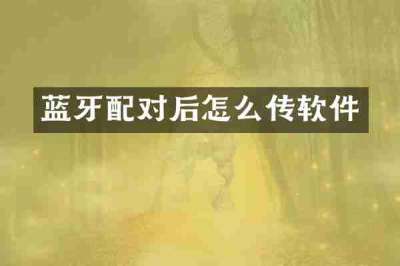 蓝牙配对后怎么传软件