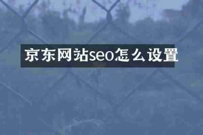 京东网站seo怎么设置