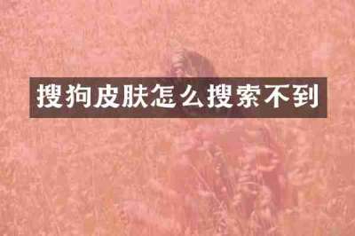 搜狗皮肤怎么搜索不到