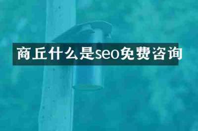 商丘什么是seo免费咨询