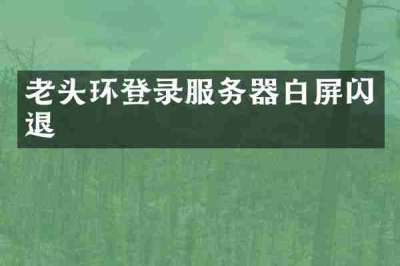 老头环登录服务器白屏闪退
