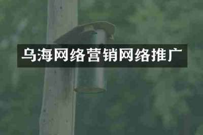 乌海网络营销网络推广