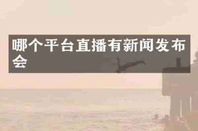 哪个平台直播有新闻发布会