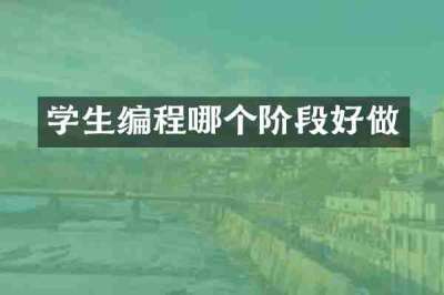 学生编程哪个阶段好做
