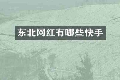 东北网红有哪些快手