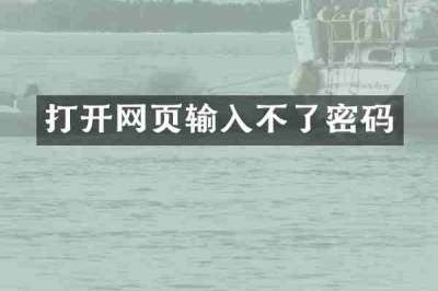 打开网页输入不了密码
