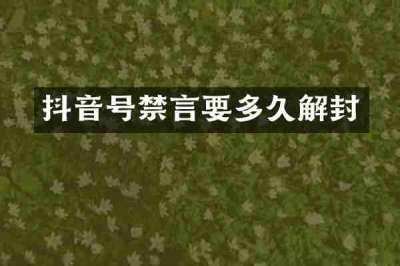 抖音号禁言要多久解封