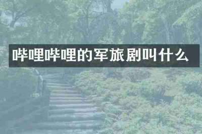 哔哩哔哩的军旅剧叫什么