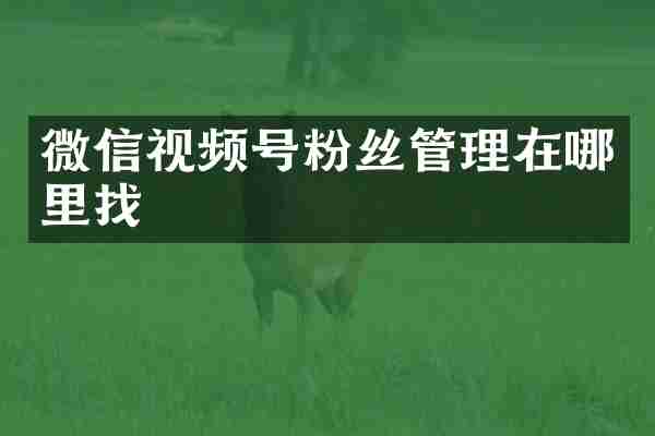 微信视频号粉丝管理在哪里找